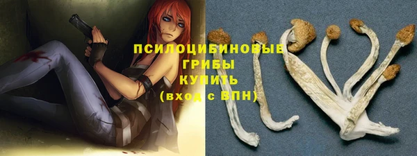 крисы Наволоки