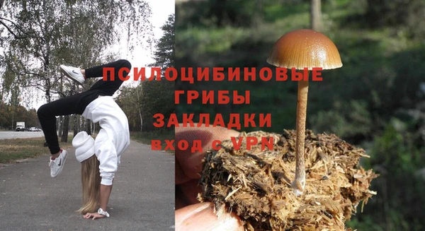 марки lsd Михайловка