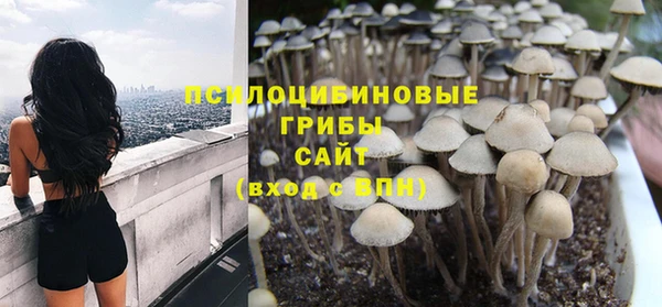 амф Надым
