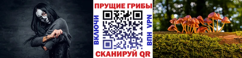 Галлюциногенные грибы Cubensis  Новороссийск 