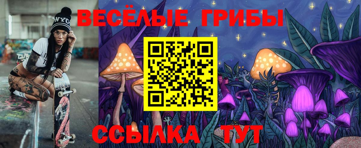 Псилоцибиновые грибы Cubensis  Вход с VPN  магазин    Новороссийск  Псилоцибиновые грибы Psilocybine cubensis 