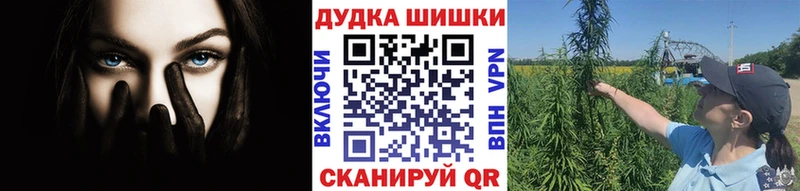 закладка  Новороссийск  shop какой сайт  Конопля Amnesia 